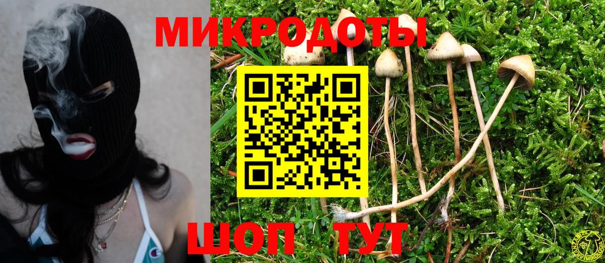 Псилоцибиновые грибы мухоморы Знаменск