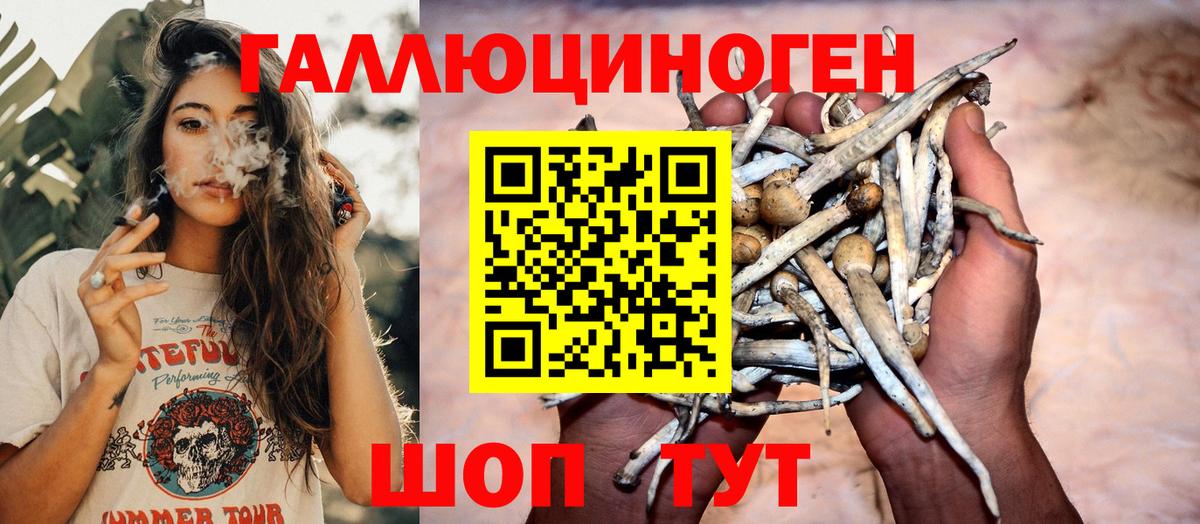 Псилоцибиновые грибы MAGIC MUSHROOMS  Вход с VPN  Знаменск 